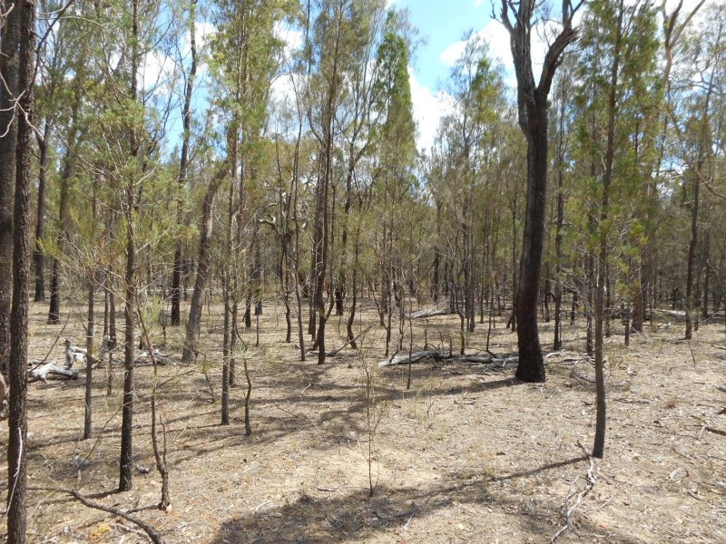 Lot 16/ Thyme Avenue, Forest Ridge QLD 4357