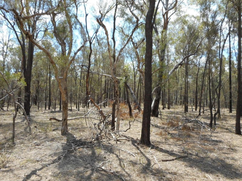 Lot 16/ Thyme Avenue, Forest Ridge QLD 4357