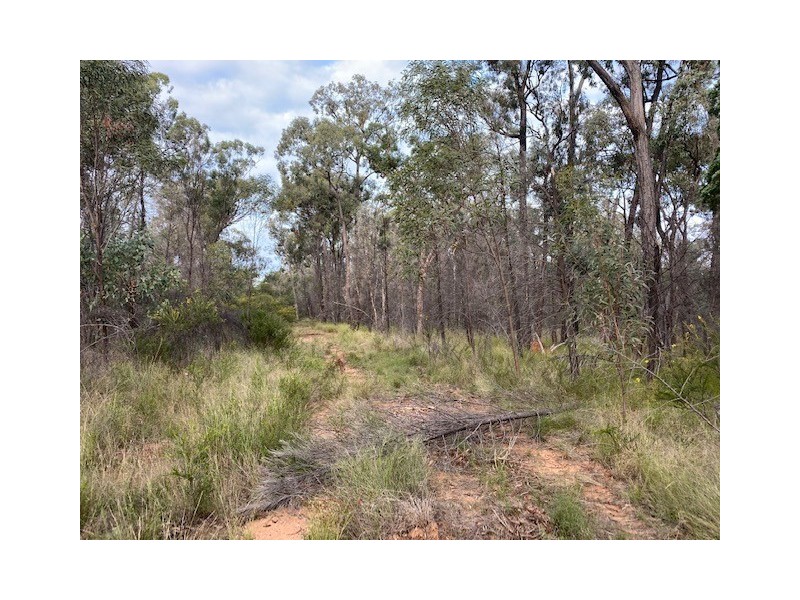 Lot 16/ Thyme Avenue, Forest Ridge QLD 4357