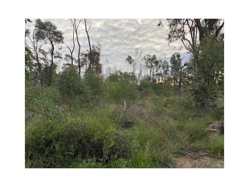 Lot 16/ Thyme Avenue, Forest Ridge QLD 4357