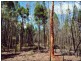Lot 48/ Kimberley Drive, Cypress Gardens QLD 4357