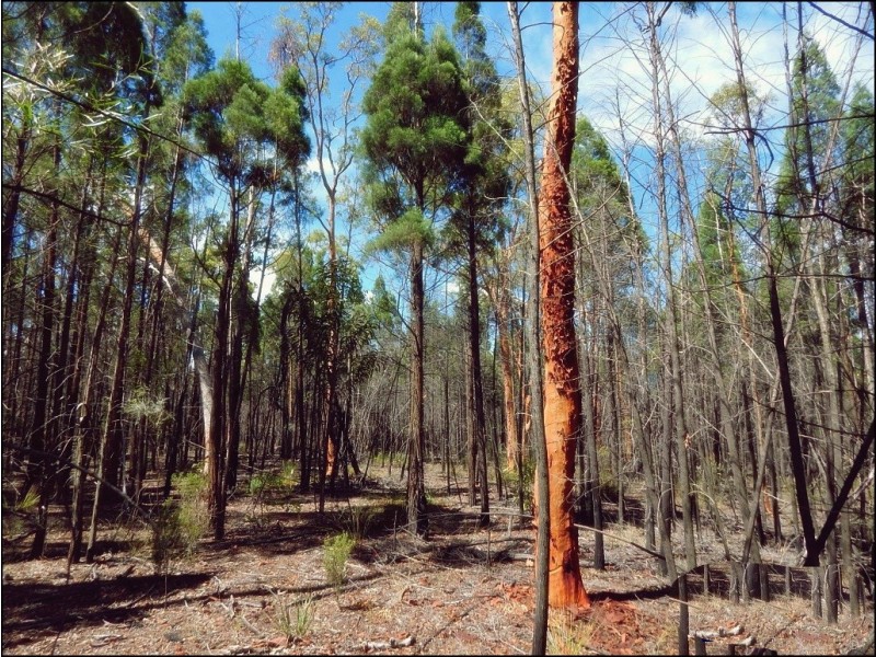 Lot 48/ Kimberley Drive, Cypress Gardens QLD 4357