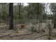 Lot 43 Devereux Drive, Tarong QLD 4615