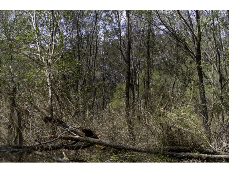 Lot 1 Archookoora Road, Brooklands QLD 4615