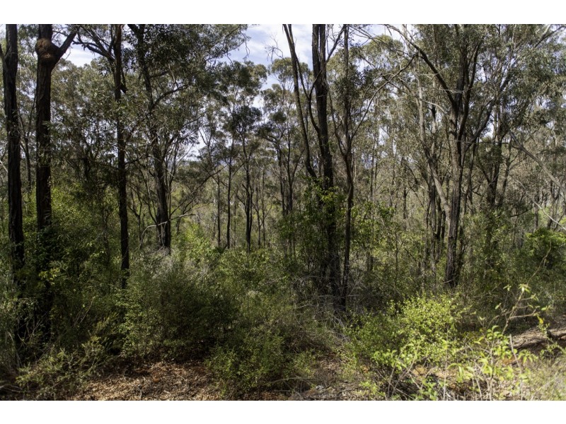 Lot 1 Archookoora Road, Brooklands QLD 4615