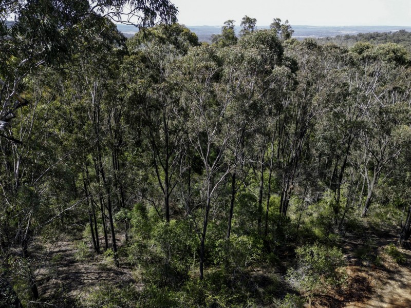 Lot 1 Archookoora Road, Brooklands QLD 4615