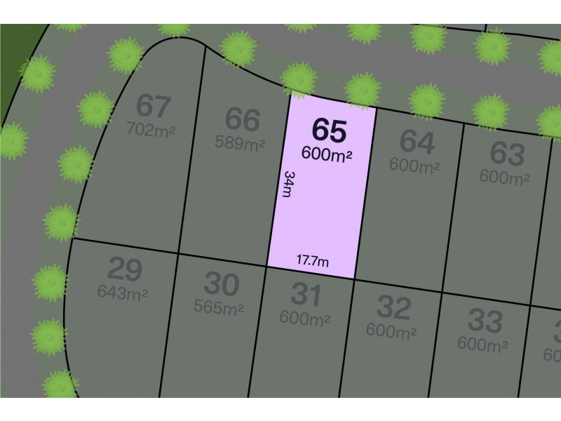 Lot 65 Queens Park Estates, Meringandan West QLD 4352