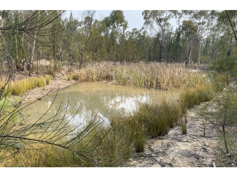 64 Kimberley Drive, Cypress Gardens QLD 4357