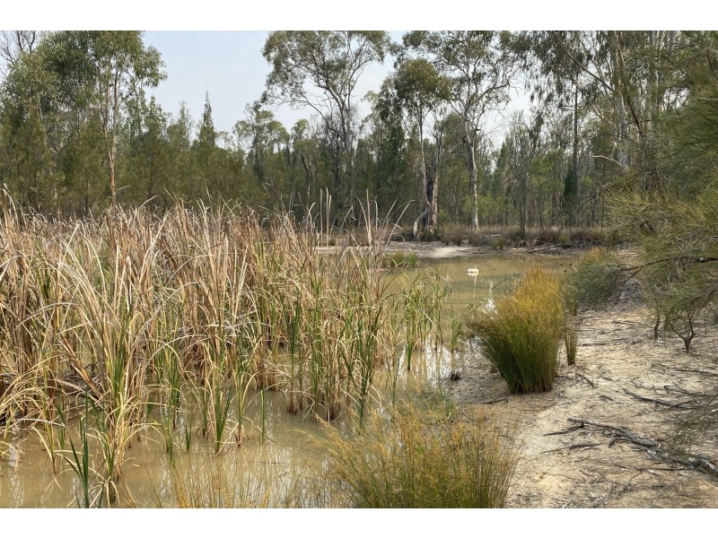 64 Kimberley Drive, Cypress Gardens QLD 4357