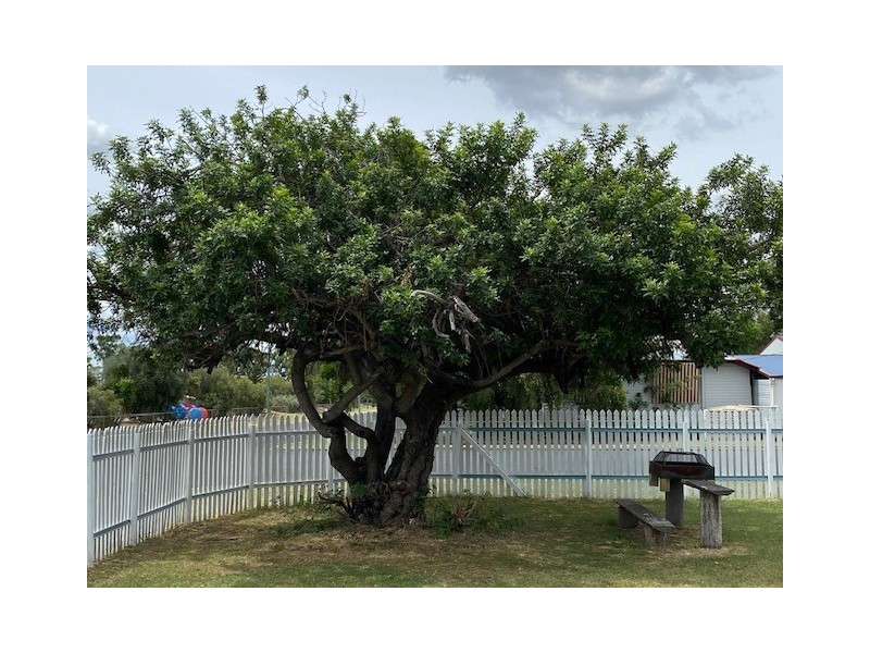 78 Bruce Road, Millmerran QLD 4357