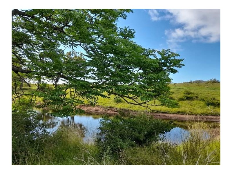 325 Sawpit Gully Road, Rockmount QLD 4344