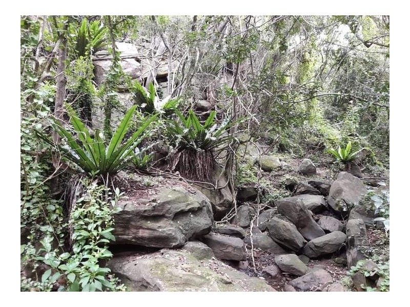 325 Sawpit Gully Road, Rockmount QLD 4344