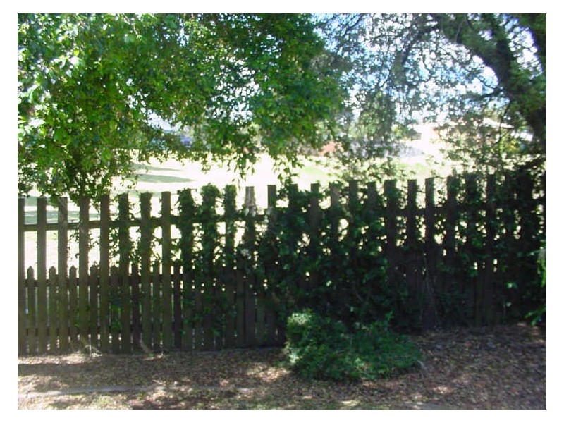 2 Steinmuller Court, Mount Lofty QLD 4350