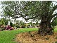 10 Cotswold Close, Cotswold Hills QLD 4350