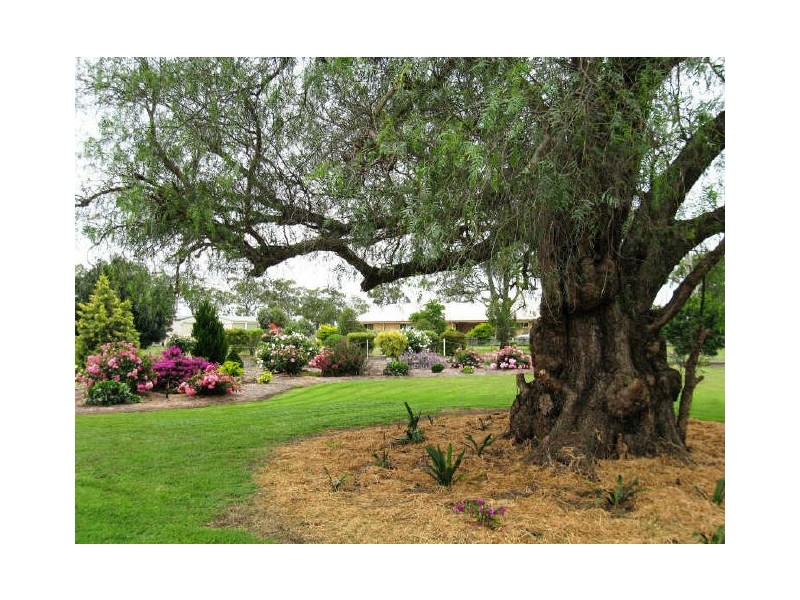 10 Cotswold Close, Cotswold Hills QLD 4350