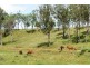Lot 170 Peachey-Maclagan Road, Groomsville QLD 4352