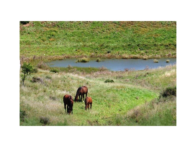 Lot 170 Peachey-Maclagan Road, Groomsville QLD 4352