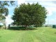 233 Greenmount-Nobby Road, Greenmount QLD 4359