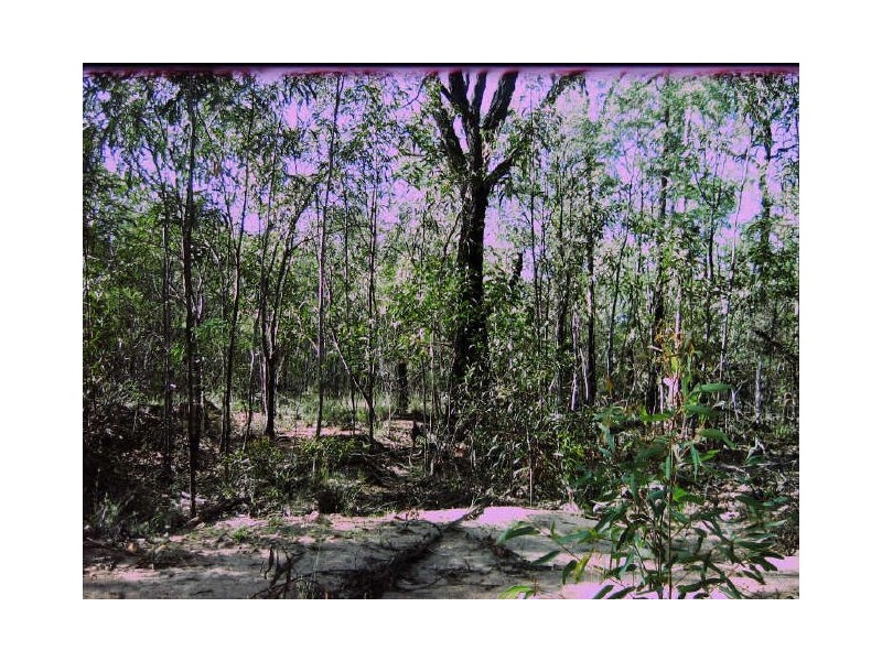 Lot 198 Golden Glow Road, Tara QLD 4421