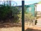 1 Blueberry Ash Court, Glenvale QLD 4350