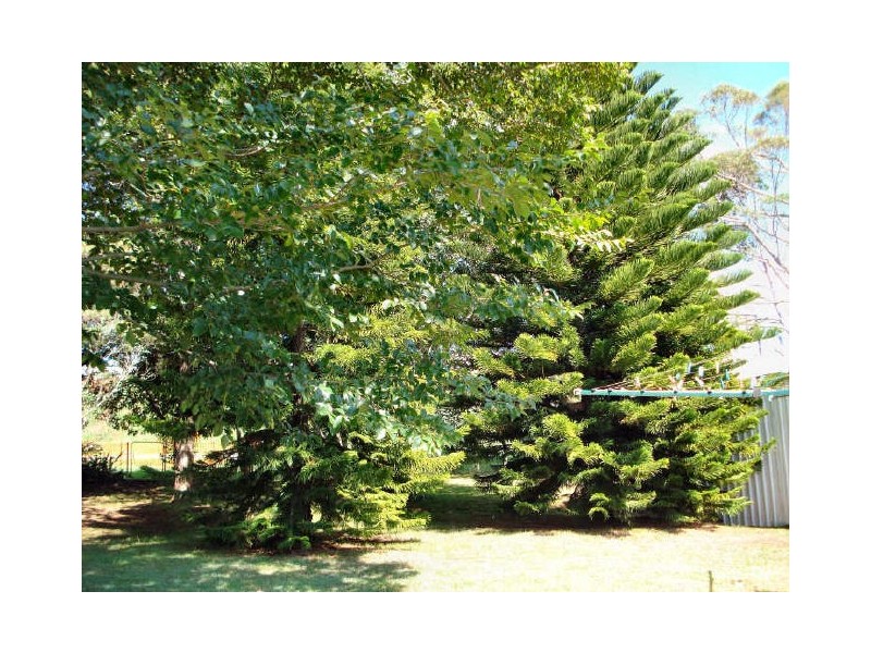 26 Wonga Street, Harlaxton QLD 4350