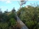 17 Roderick Drive, Toowoomba QLD 4350