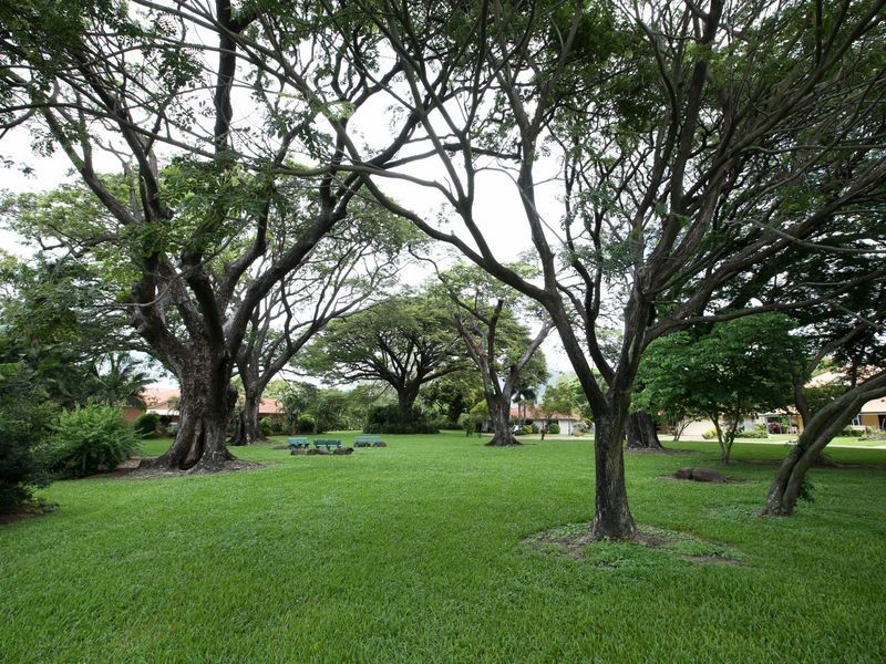 103 River Park Drive, Annandale QLD 4814