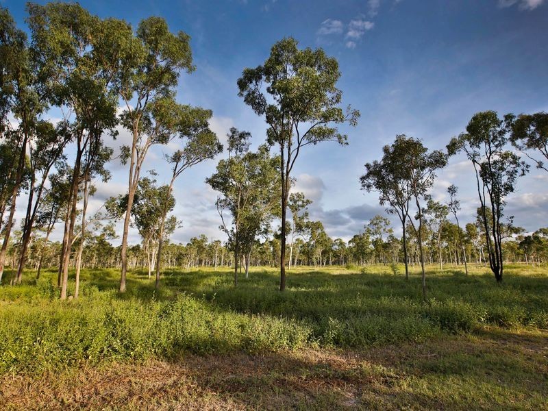 74 Haynes Road, Jensen QLD 4818