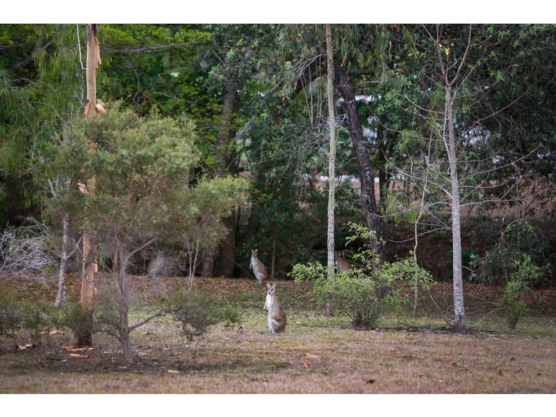 55 Country Road, Nome QLD 4816