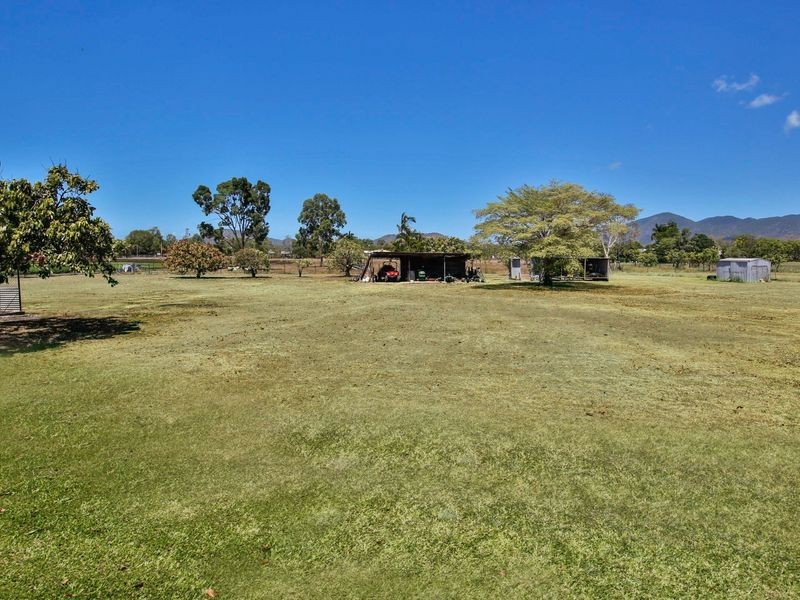 11 Allendale Drive, Alligator Creek QLD 4816