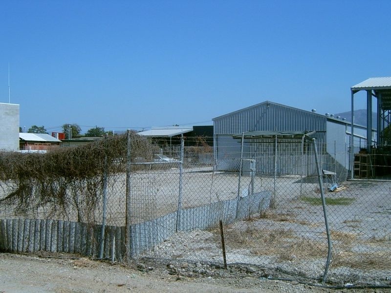 56 Punari Street, Currajong QLD 4812