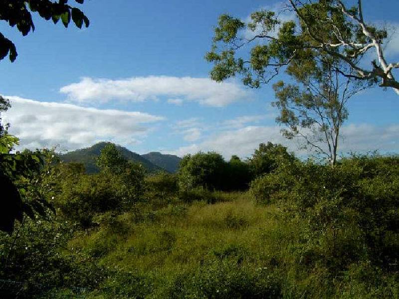 16 Robert Towns Crescent, Condon QLD 4815