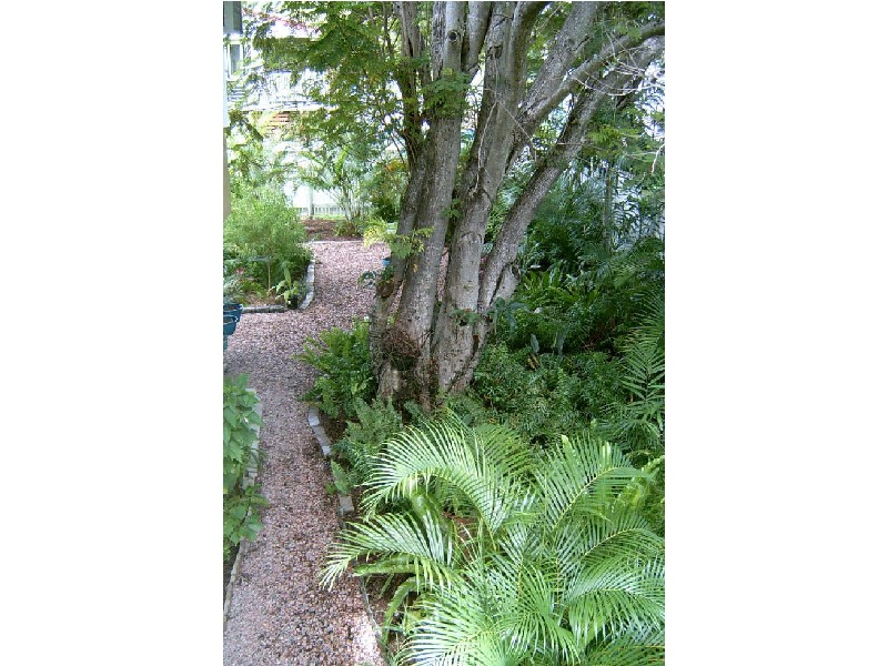 22 Wilkie Street, Heatley QLD 4814