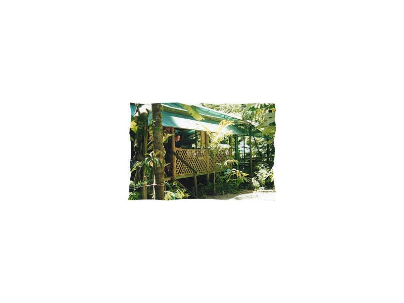 Crocodylus Village Resort, Daintree QLD 4873