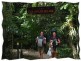 Crocodylus Village Resort, Daintree QLD 4873