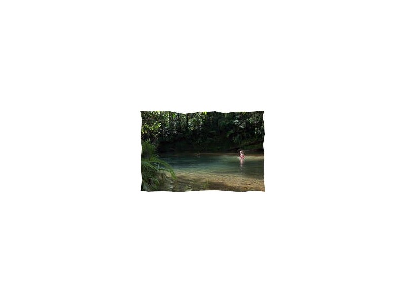 Crocodylus Village Resort, Daintree QLD 4873