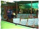 Crocodylus Village Resort, Daintree QLD 4873