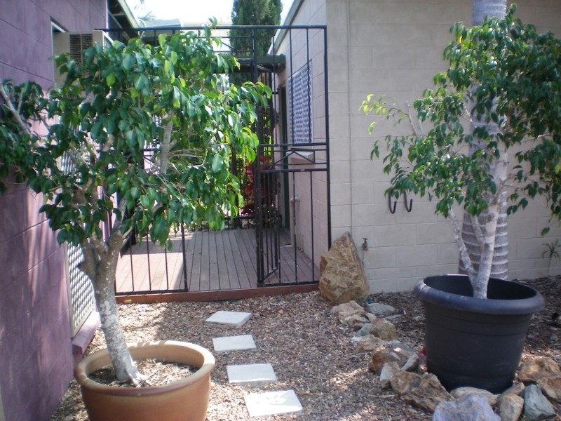 51 Banfield Drive, Mount Louisa QLD 4814