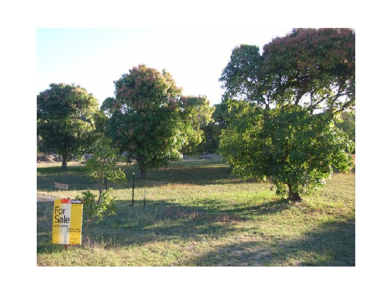 Alligator Creek QLD 4816