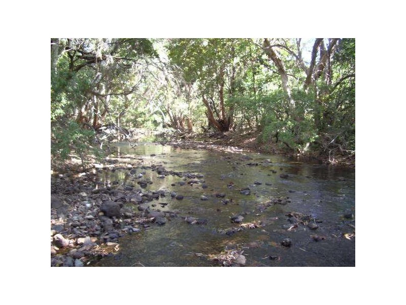 Alligator Creek QLD 4816