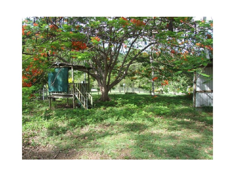 7 Mt Cradle Ct, Alligator Creek QLD 4816