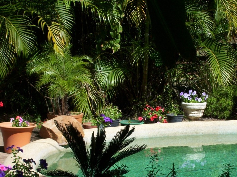 94 Majors Creek Road, Alligator Creek QLD 4816