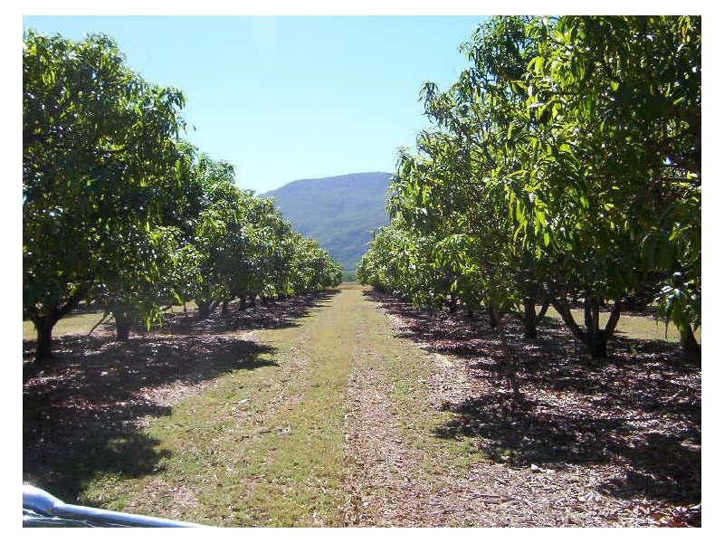 94 Majors Creek Road, Alligator Creek QLD 4816