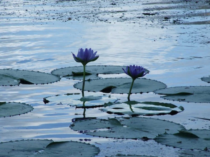 187-191 Nathan Street, Cranbrook QLD 4814