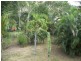 491 Stuart Drive, Stuart QLD 4811