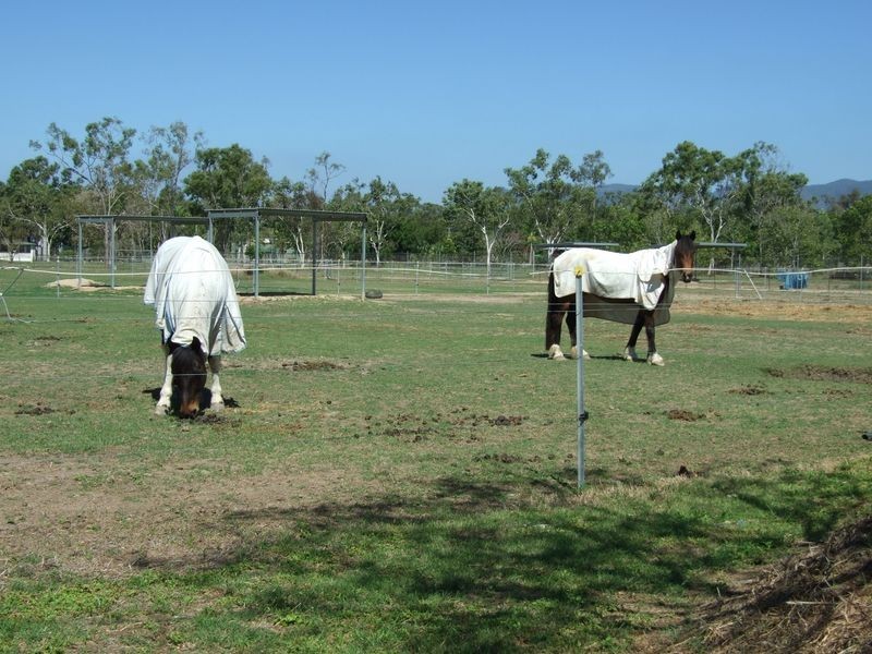 81B Hammond Way, Kelso QLD 4815