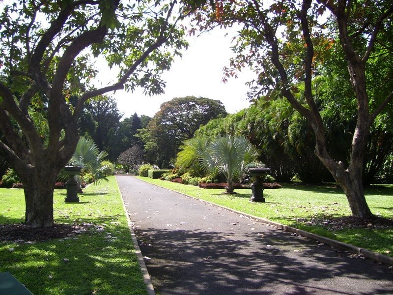 6/6 Alexandra Street, North Ward QLD 4810