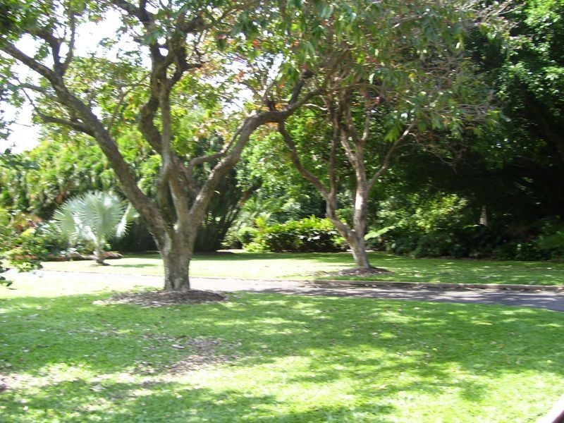 6/6 Alexandra Street, North Ward QLD 4810