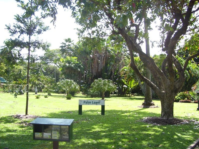 6/6 Alexandra Street, North Ward QLD 4810