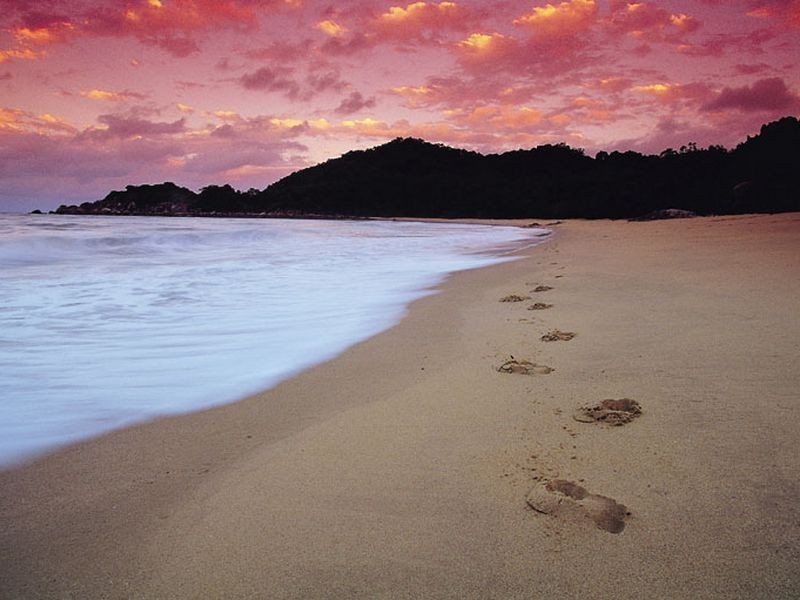 21 John Dory Street, Alligator Creek QLD 4816